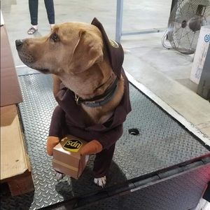 HUGE SUMMER CLOSET CLEANOUT- ACCEPTING BEST OFFERS